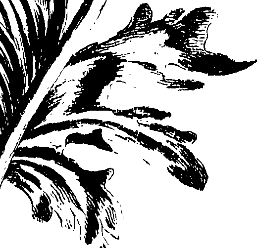 115/115850020102450_0.png