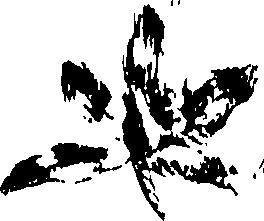 115/115850020102480_0.png