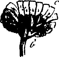 115/115850020102520_0.png