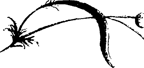 115/115850020102570_0.png