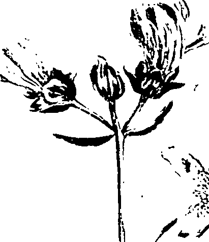 115/115850020200020_0.png