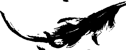 115/115850020200060_0.png