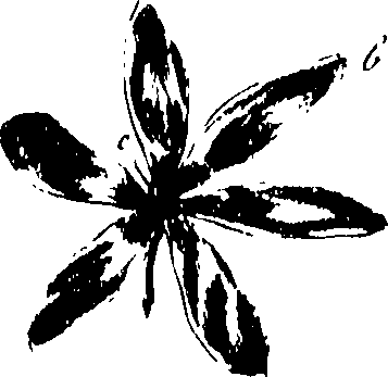 115/115850020200110_0.png