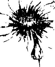 115/115850020200120_0.png