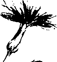 115/115850020200120_1.png