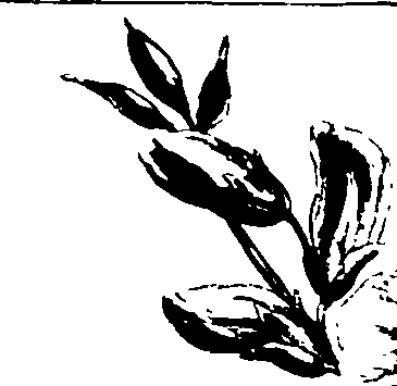 115/115850020200170_0.png