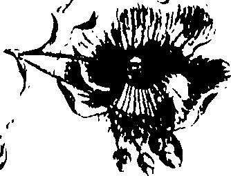 115/115850020200290_0.png