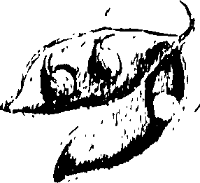 115/115850020200340_0.png