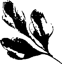 115/115850020200340_1.png