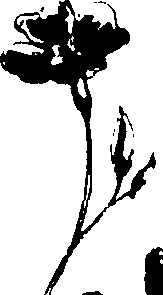 115/115850020200340_2.png