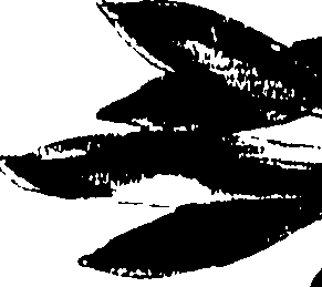 115/115850020200350_0.png
