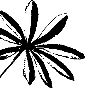 115/115850020200350_1.png