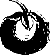 115/115850020200380_0.png