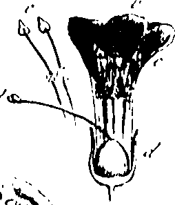 115/115850020200380_1.png