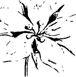 115/115850020200400_0.png