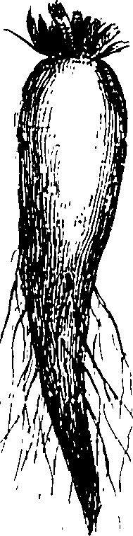 115/115850020200400_1.png
