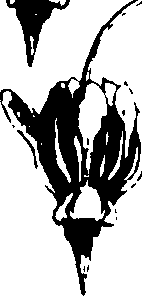 115/115850020200430_0.png