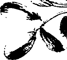 115/115850020200440_1.png