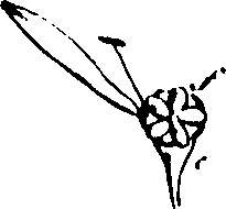115/115850020200480_0.png