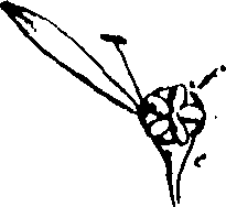 115/115850020200500_0.png