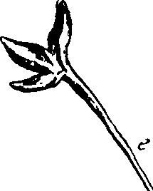 115/115850020200550_1.png