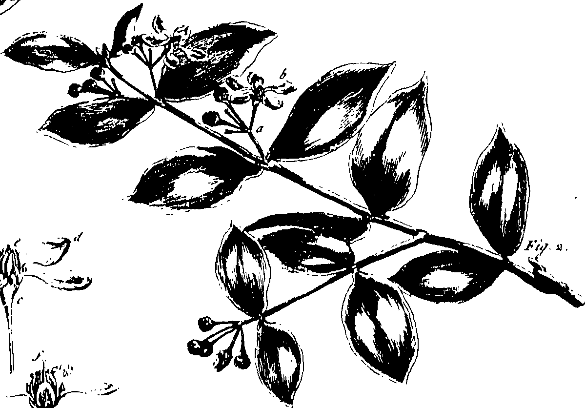 115/115850020200560_0.png