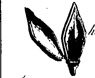 115/115850020200640_0.png