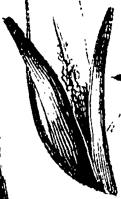 115/115850020200720_0.png