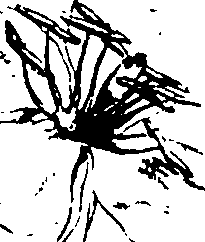 115/115850020200720_1.png