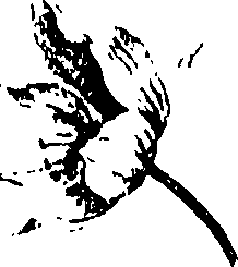 115/115850020200770_0.png