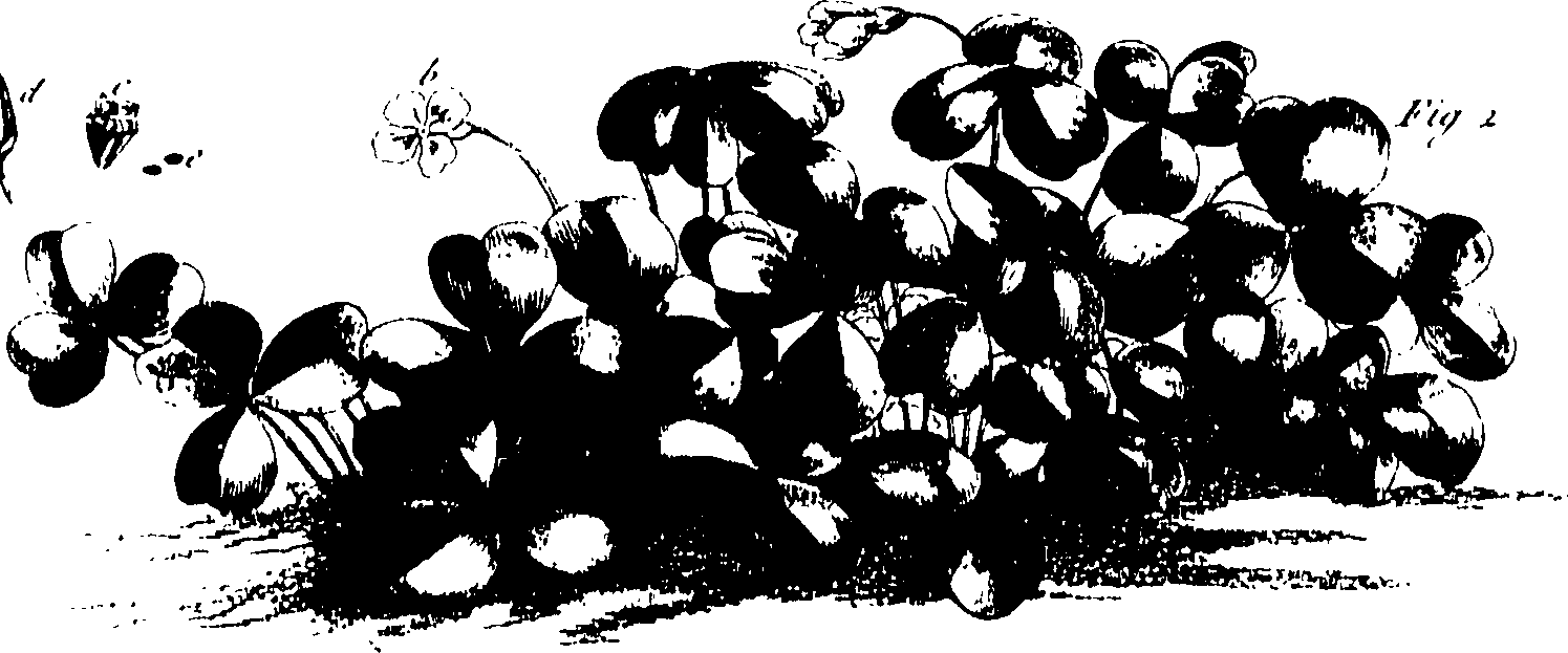 115/115850020200820_0.png