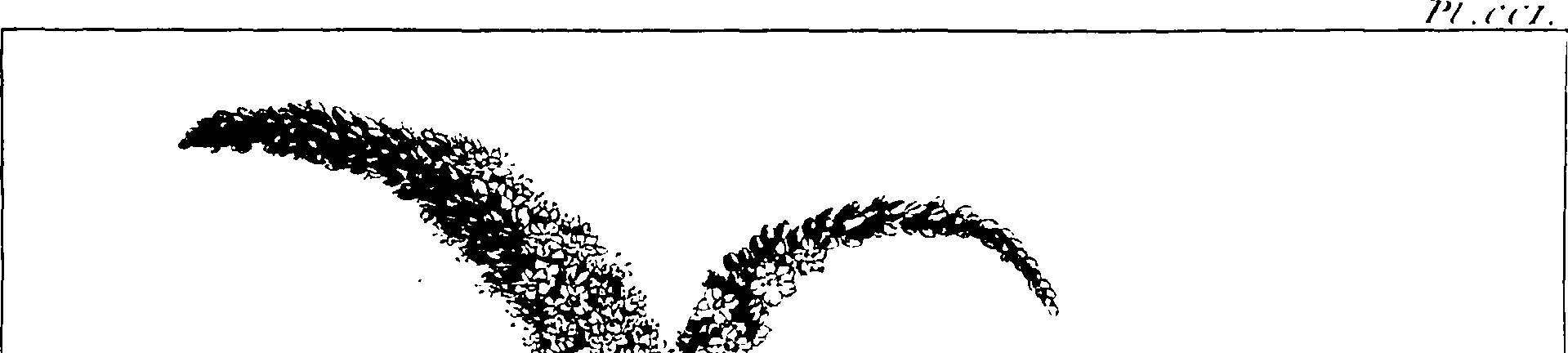 115/115850020200920_0.png