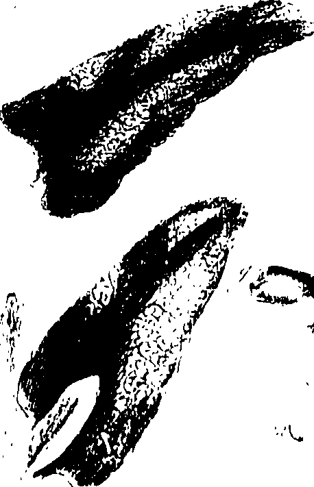 115/115850020200930_0.png