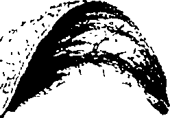 115/115850020200970_0.png