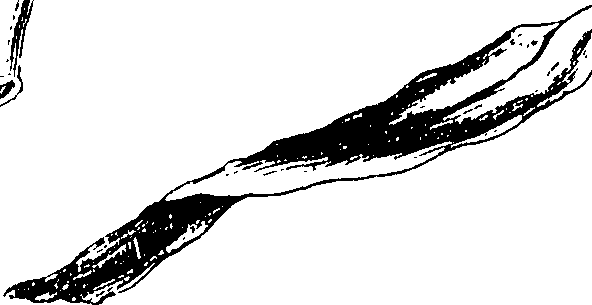 115/115850020201070_0.png