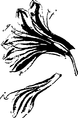 115/115850020201070_1.png