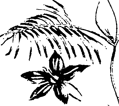 115/115850020201130_0.png