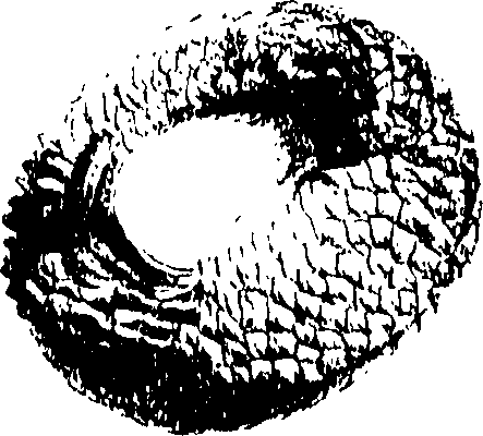 115/115850020201140_0.png