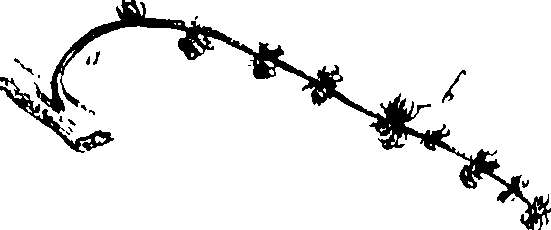 115/115850020201140_1.png