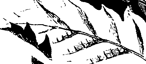 115/115850020201140_2.png