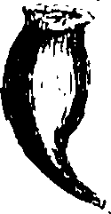 115/115850020201240_0.png