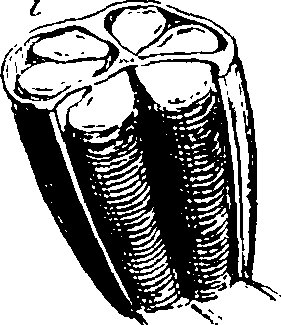 115/115850020201280_0.png