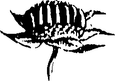 115/115850020201290_0.png