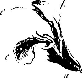 115/115850020201330_0.png