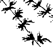 115/115850020201350_0.png