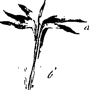 115/115850020201480_0.png
