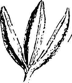 115/115850020201490_0.png