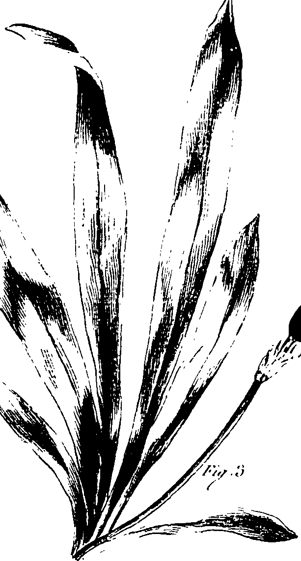 115/115850020201530_0.png