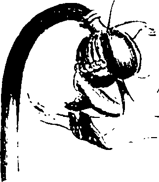 115/115850020201590_0.png