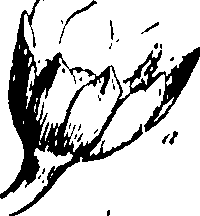 115/115850020201650_0.png